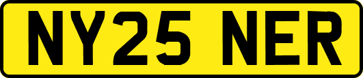 NY25NER