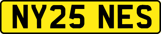 NY25NES