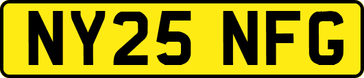 NY25NFG