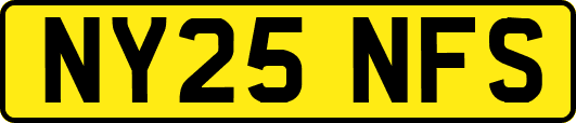 NY25NFS
