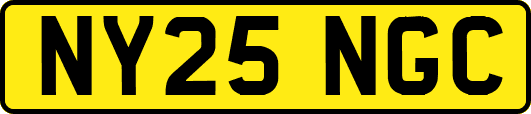NY25NGC