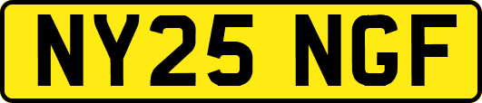 NY25NGF
