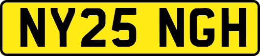 NY25NGH