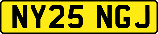 NY25NGJ
