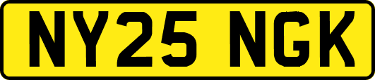NY25NGK