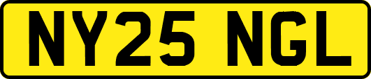NY25NGL