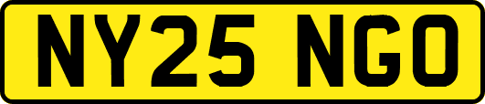 NY25NGO