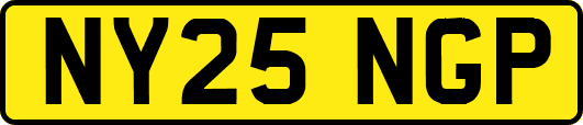 NY25NGP