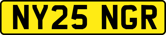 NY25NGR