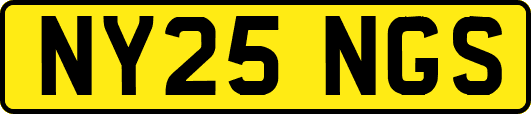 NY25NGS