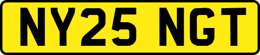 NY25NGT
