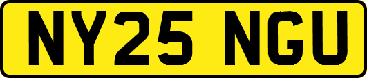 NY25NGU