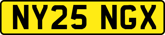 NY25NGX
