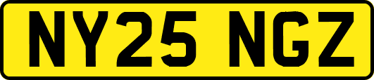 NY25NGZ