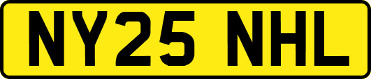 NY25NHL