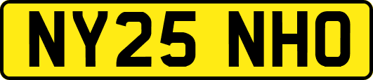 NY25NHO