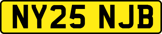 NY25NJB