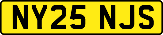 NY25NJS