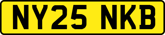 NY25NKB