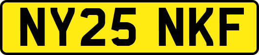 NY25NKF
