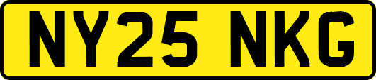 NY25NKG
