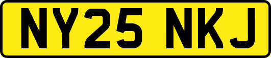 NY25NKJ