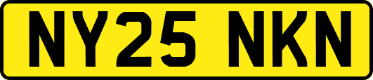 NY25NKN