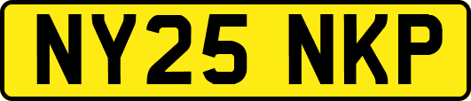 NY25NKP