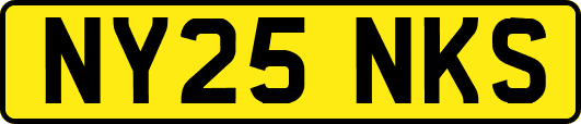 NY25NKS