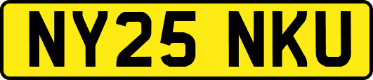 NY25NKU