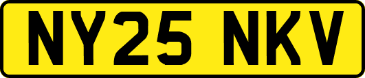NY25NKV