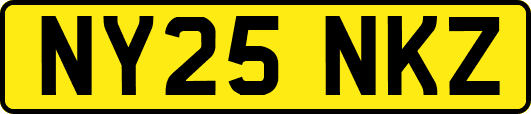 NY25NKZ