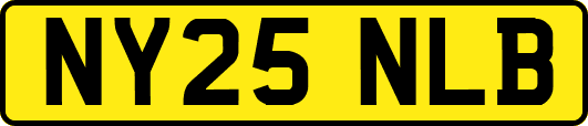 NY25NLB