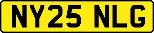 NY25NLG