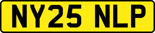 NY25NLP