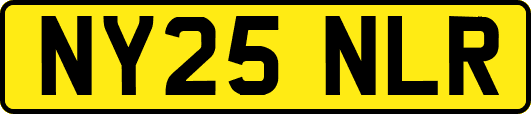 NY25NLR