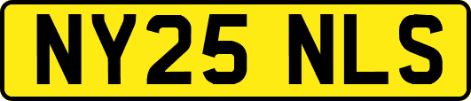 NY25NLS