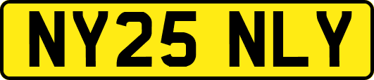 NY25NLY