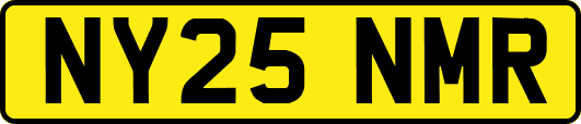NY25NMR