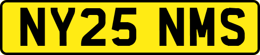 NY25NMS