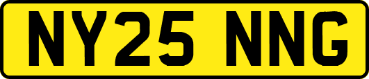 NY25NNG