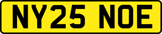 NY25NOE