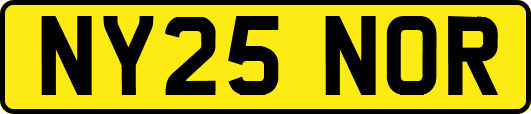NY25NOR