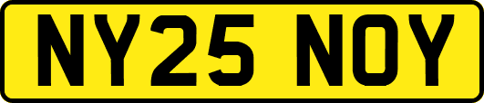 NY25NOY