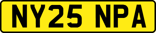NY25NPA