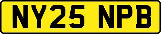 NY25NPB