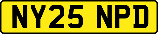 NY25NPD