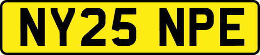 NY25NPE