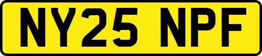 NY25NPF