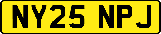NY25NPJ